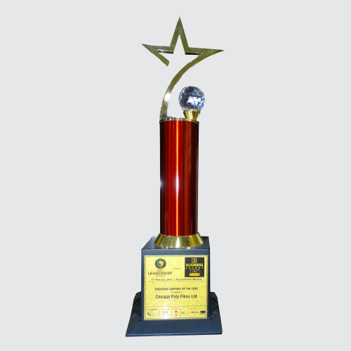 Business Leader of The Year ( 2022 )